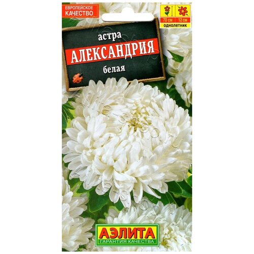 Удалить Астра Аэлита Александрия белая 0,1г астра александрия белая семена цветы