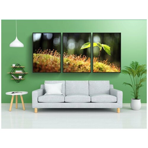 фото Набор модулных постеров для интерьера "весна, природа, бутон цветка" 60x90 см. в тубусе, без рамки lotsprints