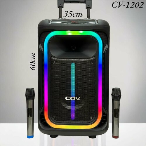 Портативная колонка CV-1202 с функией караоке со световыми спецэффектами и управлением со смартфона Bluetooth Aux Usb для подключения к компьютеру 2 микрофона и пульт в комплекте 1880000₽