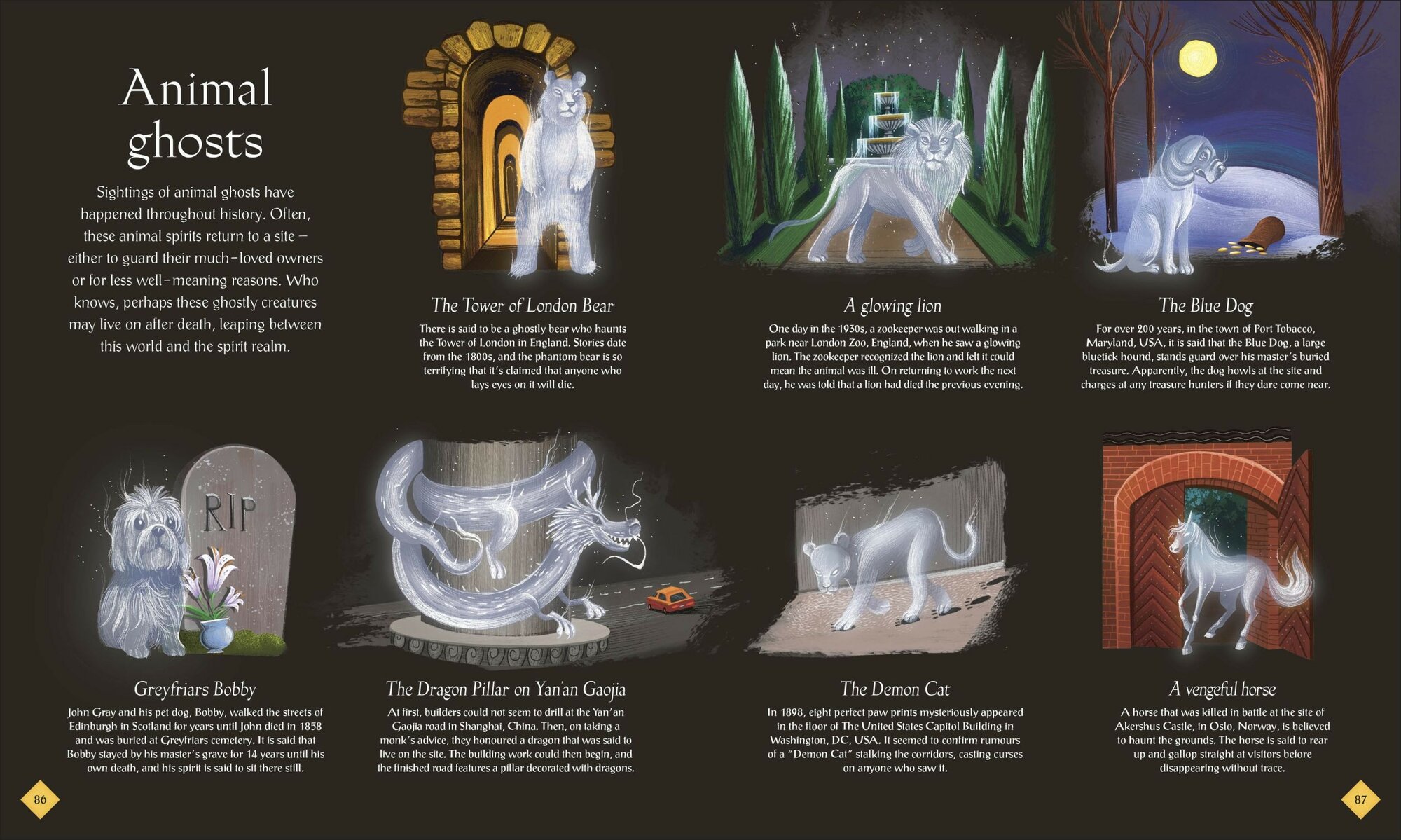 The Book of Mysteries, Magic, and the Unexplained - фото №4