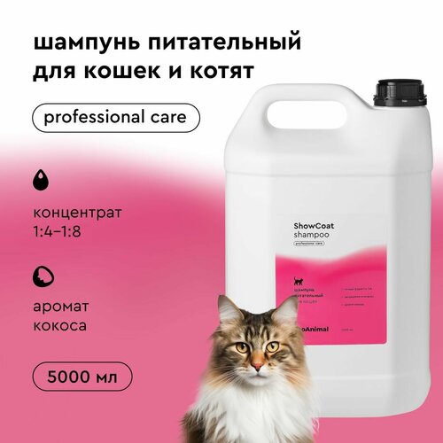 Шампунь для кошек и котят ProAnimal for Cats ShowCoat, 5 литров, концентрат