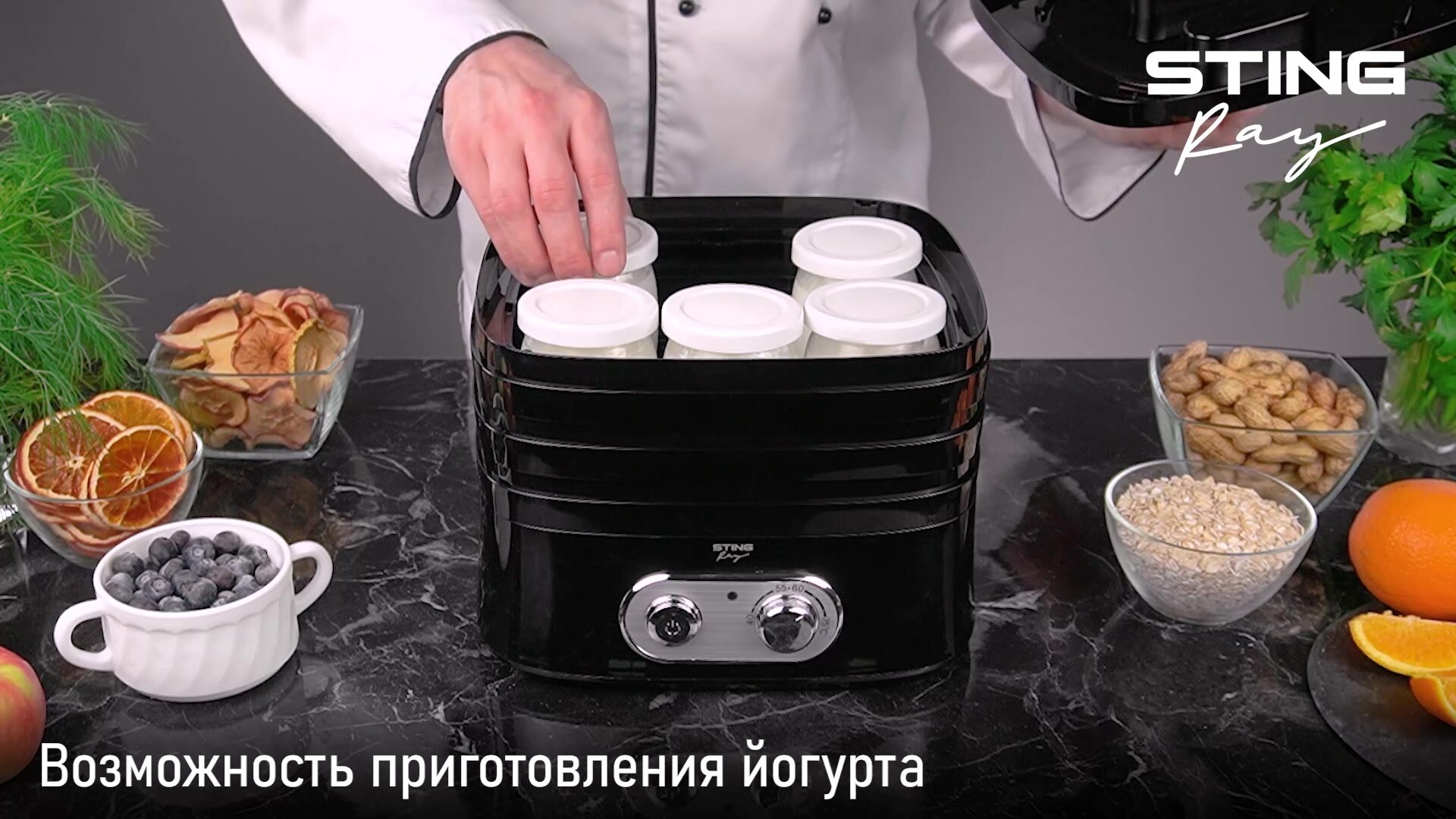 Дегидратор сушилка для овощей электросушилка STINGRAY ST-FD716B 9 поддонов (7 основных + 1 для пастилы + 1 для ягод) черный — фото 1