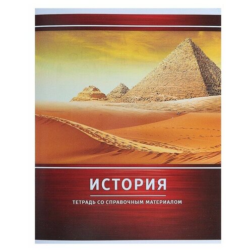 Тетрадь предметная Металл, 48 листов в клетку История со справочным материалом, обложка мелованный картон, блок №2, белизна 75% (серые листы) тетрадь предметная 3d 48 листов в клетку биология со справочным материалом обложка мелованный картон белизна 75% серые листы 1 шт
