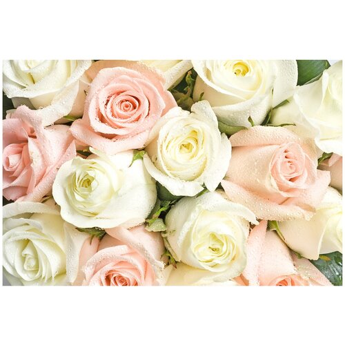 Фотообои Уютная стена Розовые и белые розы 410х270 см Бесшовные Премиум (единым полотном) фотообои уютная стена розовые и белые розы 410х270 см бесшовные премиум единым полотном