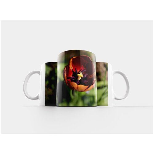 фото Кружка "тюльпан, цветок, весна" 320 мл lotsprints