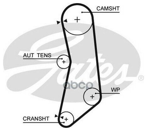 Ремень Грм Gates арт. 5627XS