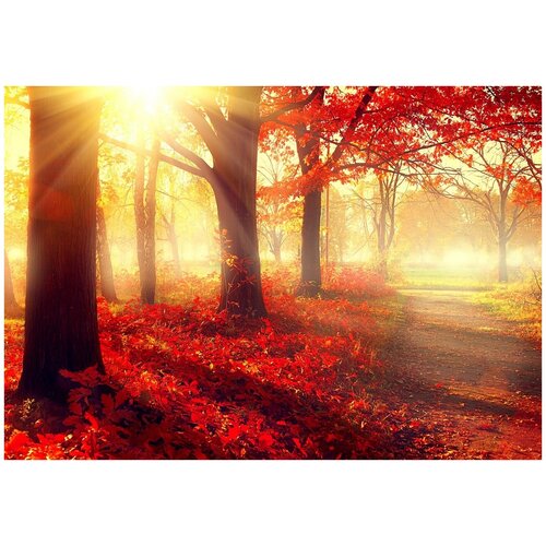 Фотообои Уютная стена Осень в парке 390х270 см Бесшовные Премиум (единым полотном)