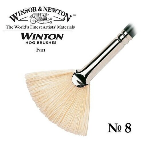 фото Кисть для масляных красок "winton", свиная щетина, веерная, №8 winsor & newton