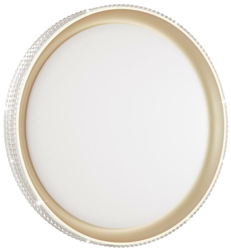 3054/DL PALE SN 132 Светильник пластик/белый/золотистый LED 48Вт 3000-6300K D395 IP43 пульт ДУ SHINY