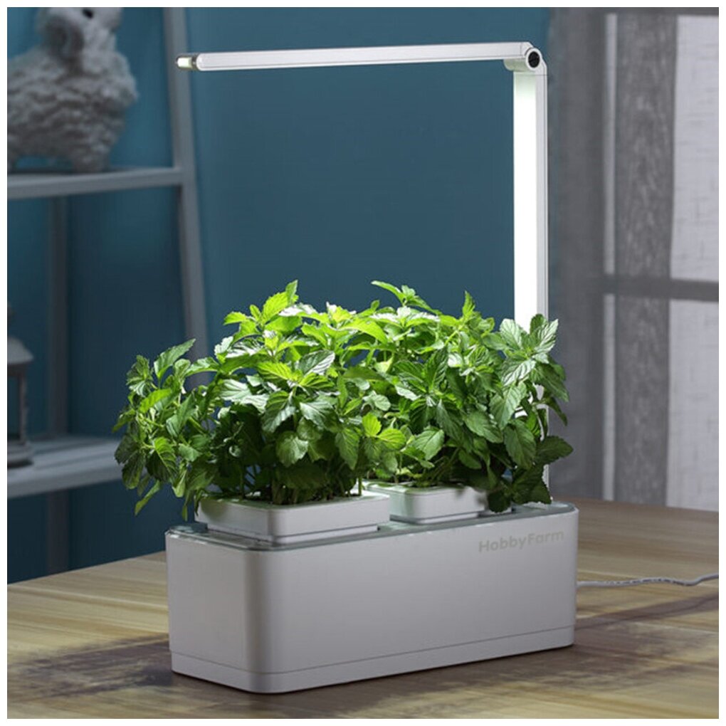 Гидропонная установка HobbyFarm Mini, домашний умный смарт сад, с фитолампой - фотография № 11