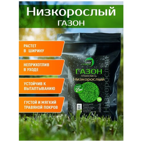 Смесь семян СИЛА СУЗДАЛЯ Низкорослый, 3 кг газонcity minium низкорослый газон 0 3 кг 0 3 кг