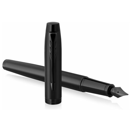 Ручки и стержни Parker Pen Products Parker IM Achromatic Перьевая ручка , Matt Black F сталь нержавеющая