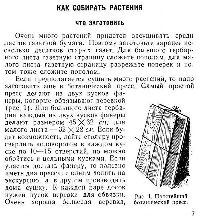 Книга Самодельные коллекции по ботанике и зоологии. Знай и умей - фото №3