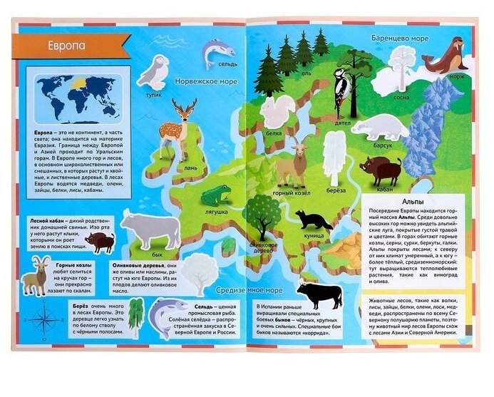 Книга «Атлас животных», путешествие по континентам, с наклейками, 16 страниц, формат А4, для детей и малышей