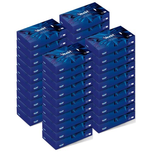 Косметические салфетки в коробке 40 упаковок по 100 штук VEELIT, 2 слоя, первичная целлюлоза