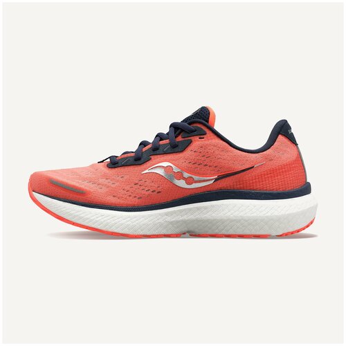 Saucony Кроссовки TRIUMPH 19 W RU 37.5 UK 5.5 US 7.5, sunstone/night Бег