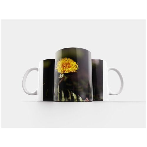 фото Кружка "одуванчик, цветок, овощ" 320 мл lotsprints