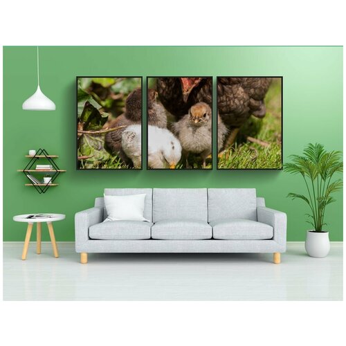 фото Набор модулных постеров для интерьера "птицы, леди, животный мир" 60x90 см. в тубусе, без рамки lotsprints