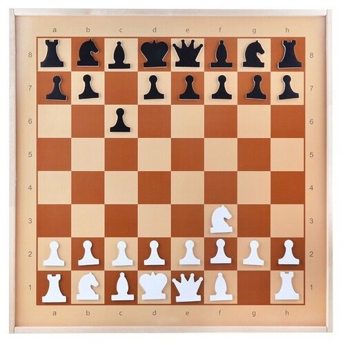 Шахматы Десятое Королевство демонстрационные магнитные (1756) шашки десятое королевство магнитные демонстрационные 3902