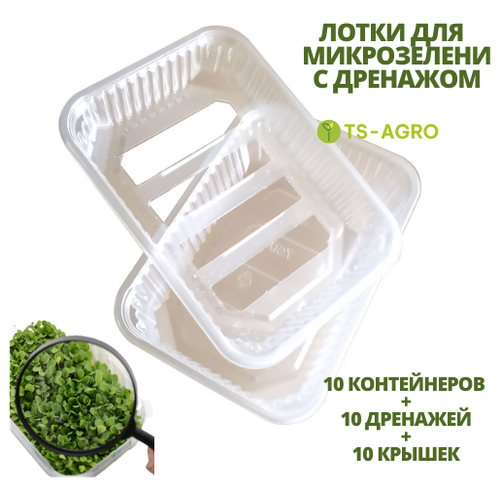 Набор контейнеров для выращивания микрозелени и рассады. 750 мл. 10 шт. Контейнер + Дренаж + Крышка