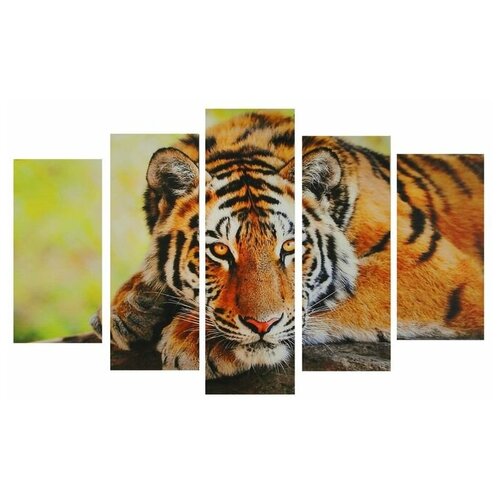 Доляна Щётка с дозатором для моющего средства цвет микс 278₽