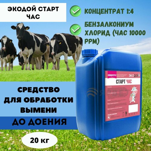 Средство для обработки вымени до доения Экодой старт ЧАС 10000 ppm (Концентрат 1:4) 20 кг