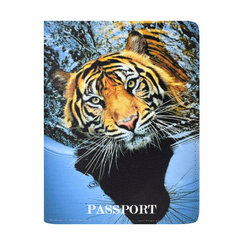 Обложка для паспорта BB1, голубой