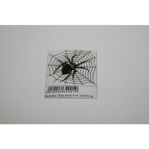 Наклейка плоттер Паук на паутине (55х55) белый
