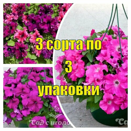 Набор семян Петуния Эспрессо F1 3 сорта по 3 упаковки, 5 шт/уп. Профсемена, ручная фасовка!