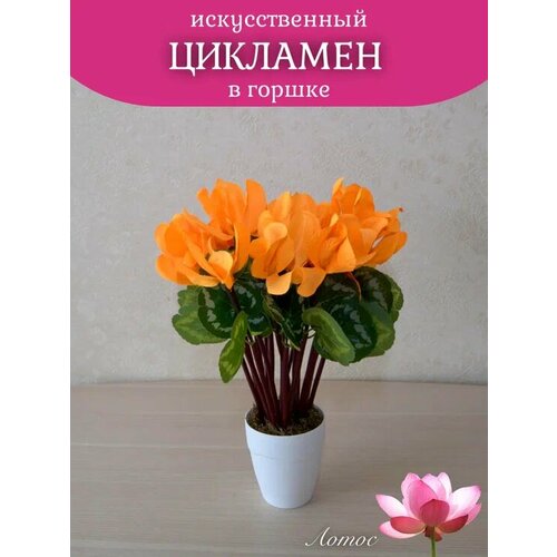 Цикламен желтый в горшке от бренда Лотос 400₽