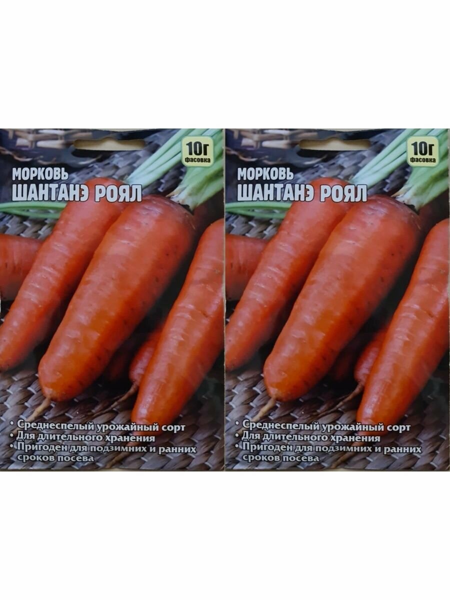 Морковь шантанэ роял