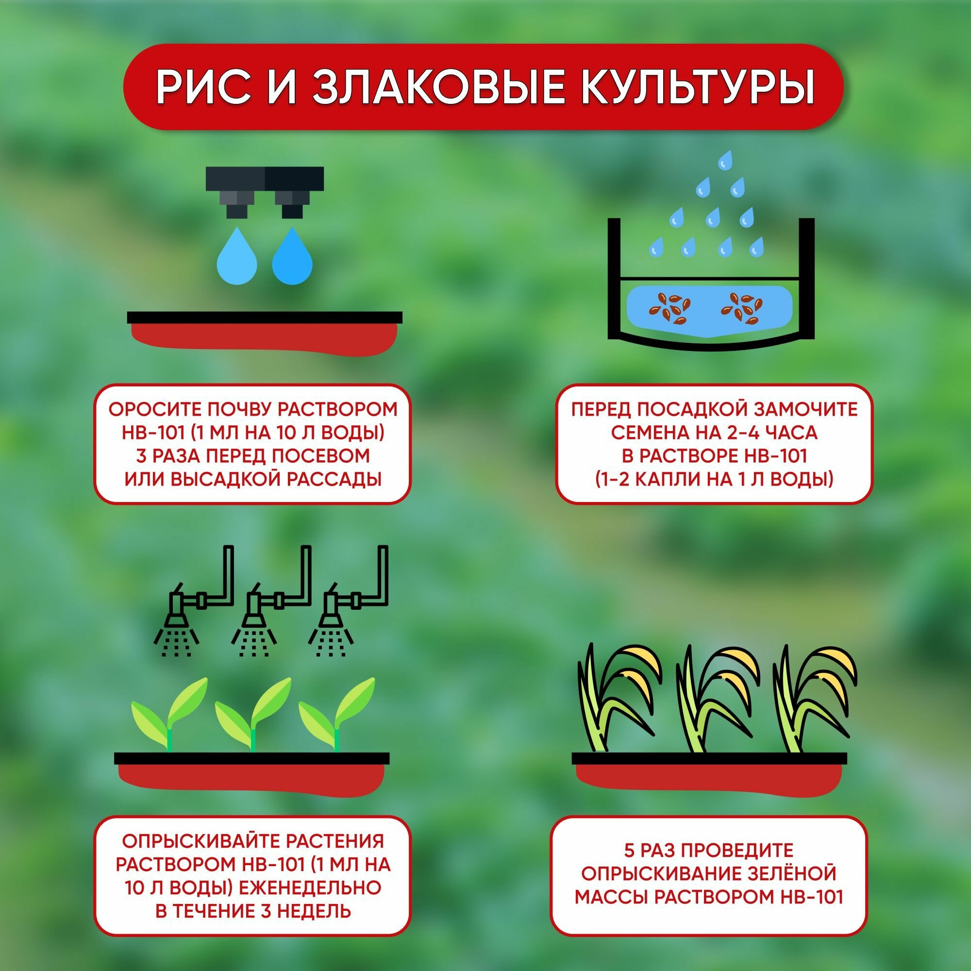 Удобрение HB 101 стимулятор роста для растений 6 мл, японское удобрение hb-101 для орхидей, для комнатных растений, для цветов БИО препарат, Флора — фото 1