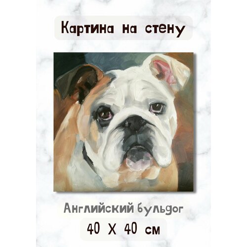 Картина "Английский бульдог" на холсте в рисованном стиле с маленькой собакой 40х40 Bestkartina