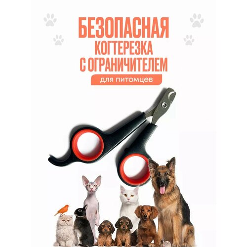 Когтерез ALISA, металл, портативный, безопасный, чёрный/оранжевый