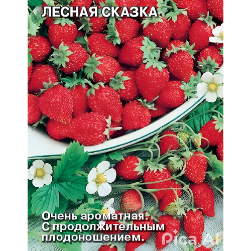 Лесная сказка 30 шт