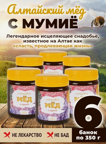 Изображение товара Мед с мумие 6 банок по 350 грамм Алтайвита