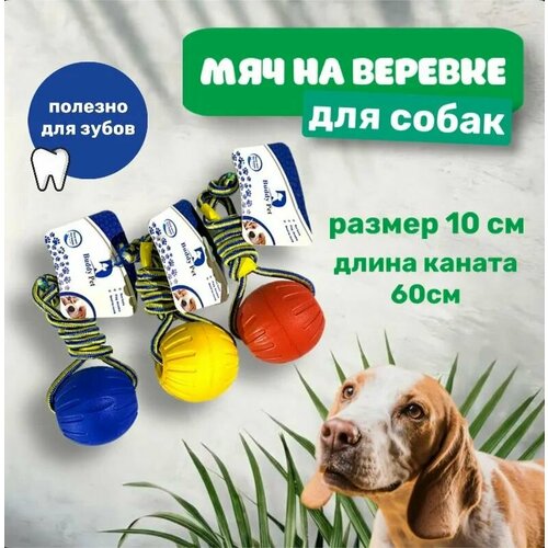 Мяч на веревке