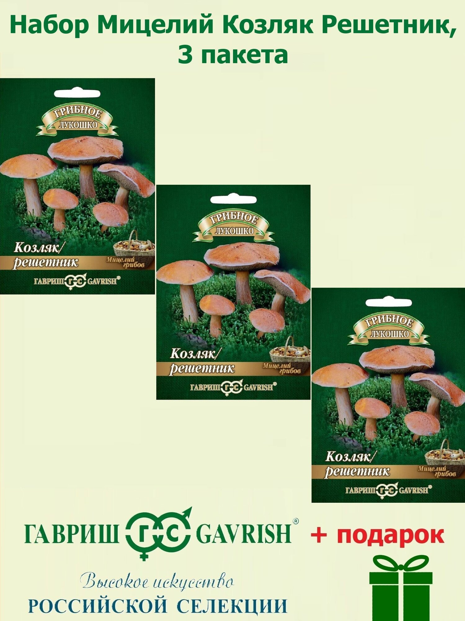 Набор Мицелий Козляк Решетник на зерновом субстрате 3 пакета Гавриш