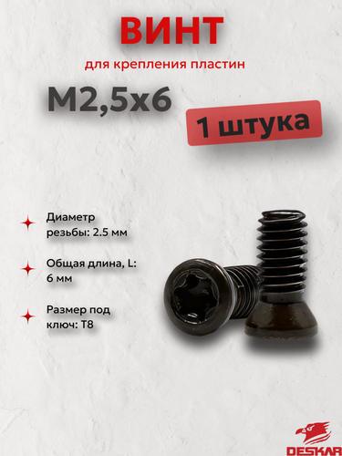 Изображение товара M2,5х6 винт для крепления пластин (10 шт в упаковке) DESKAR 00-00020419