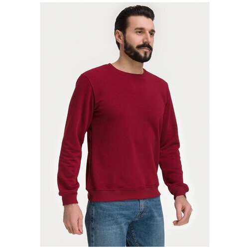 Свитшот мужской GREG G121-OZ03-45_R (бордо), Прямой силуэт / Сlassic fit, цвет Бордовый, размер 48-50