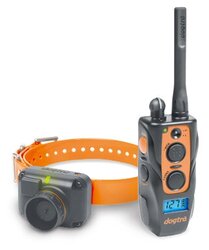 Dogtra beeper hotsell