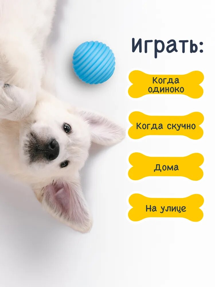 Fancy Pets игрушка "Мяч рифленый" для собак (8 см.) - фото №5