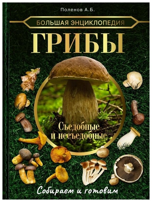 Большая энциклопедия. Грибы. Съедобные и несъедобные. Собираем и готовим. - фото №1