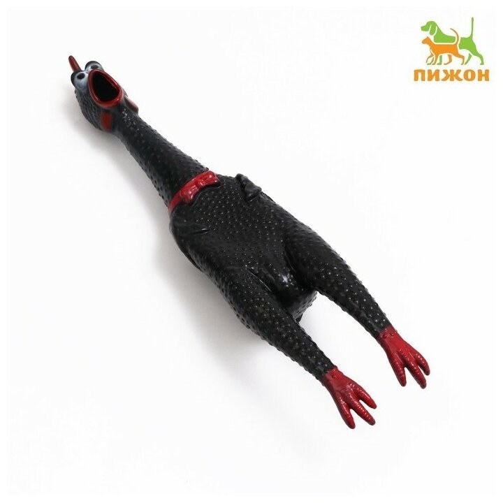 Игрушка пищащая Задумчивая курица XL для собак, 41 см, чёрная - фотография № 7