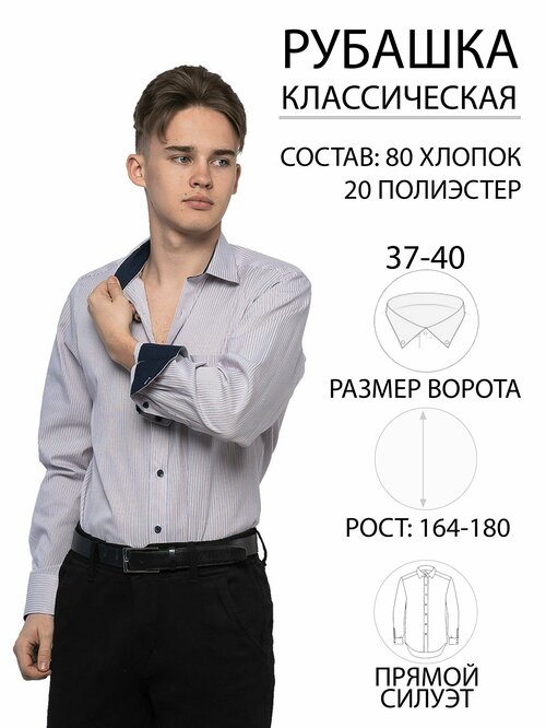 Рубашка Imperator, размер 37 ворот/164-170, мультиколор
