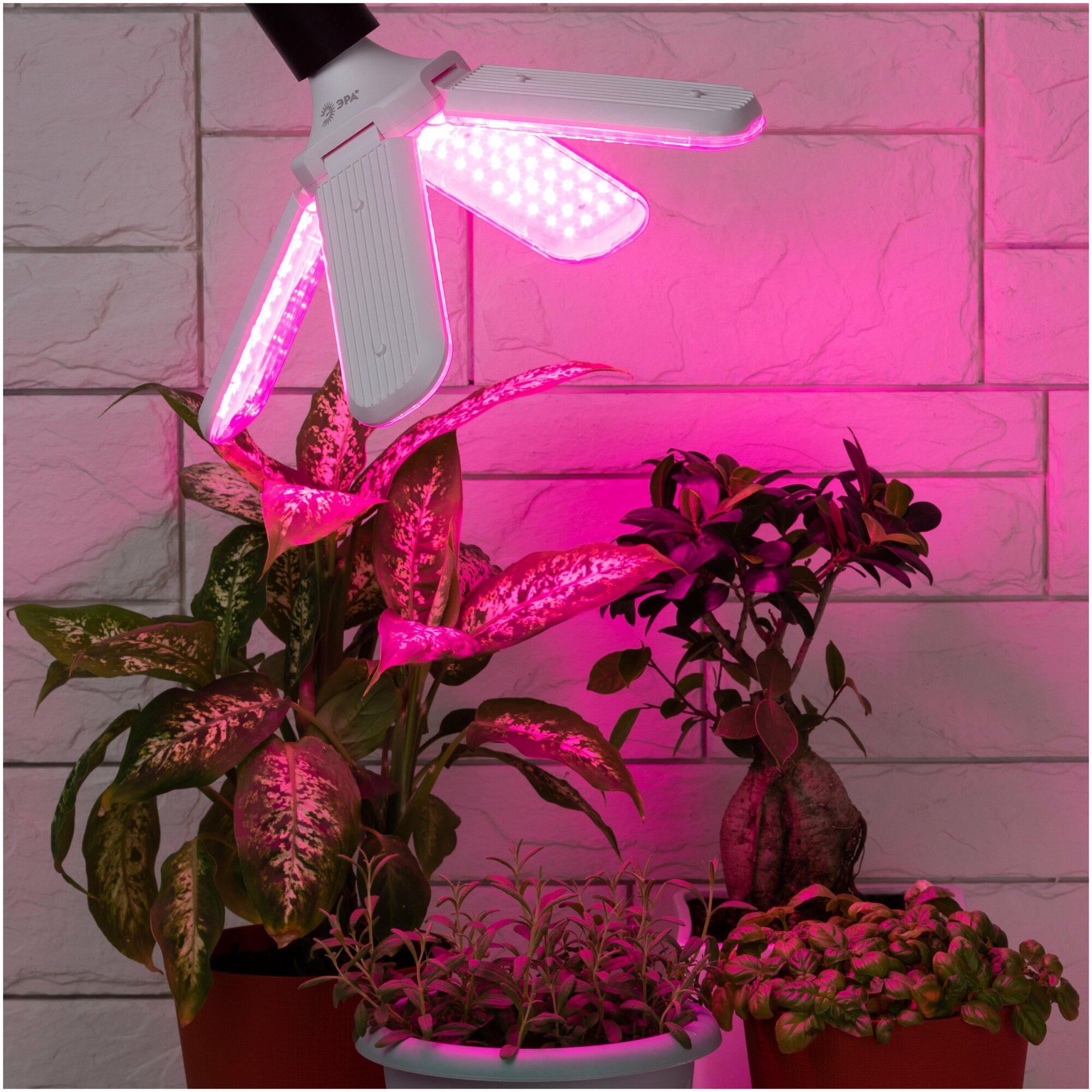 Лампа светодиодная для растений ЭРА E27 18W 2370K прозрачная Б0053289 - фото №12