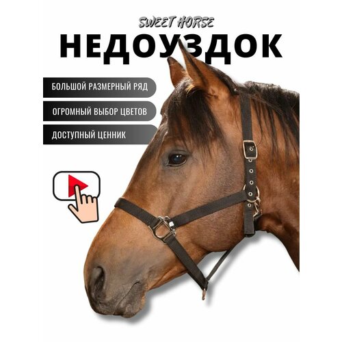Sweethorse / Недоуздок для лошади и пони FULL
