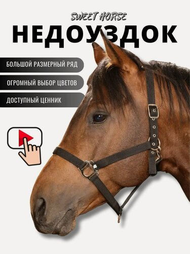Изображение товара Sweethorse / Недоуздок для лошади и пони PONY