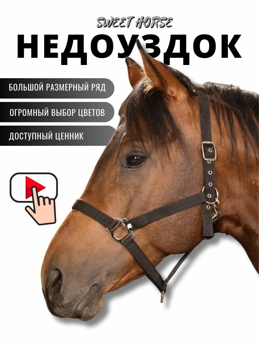 Sweethorse / Недоуздок для лошади и пони COB - фотография № 1