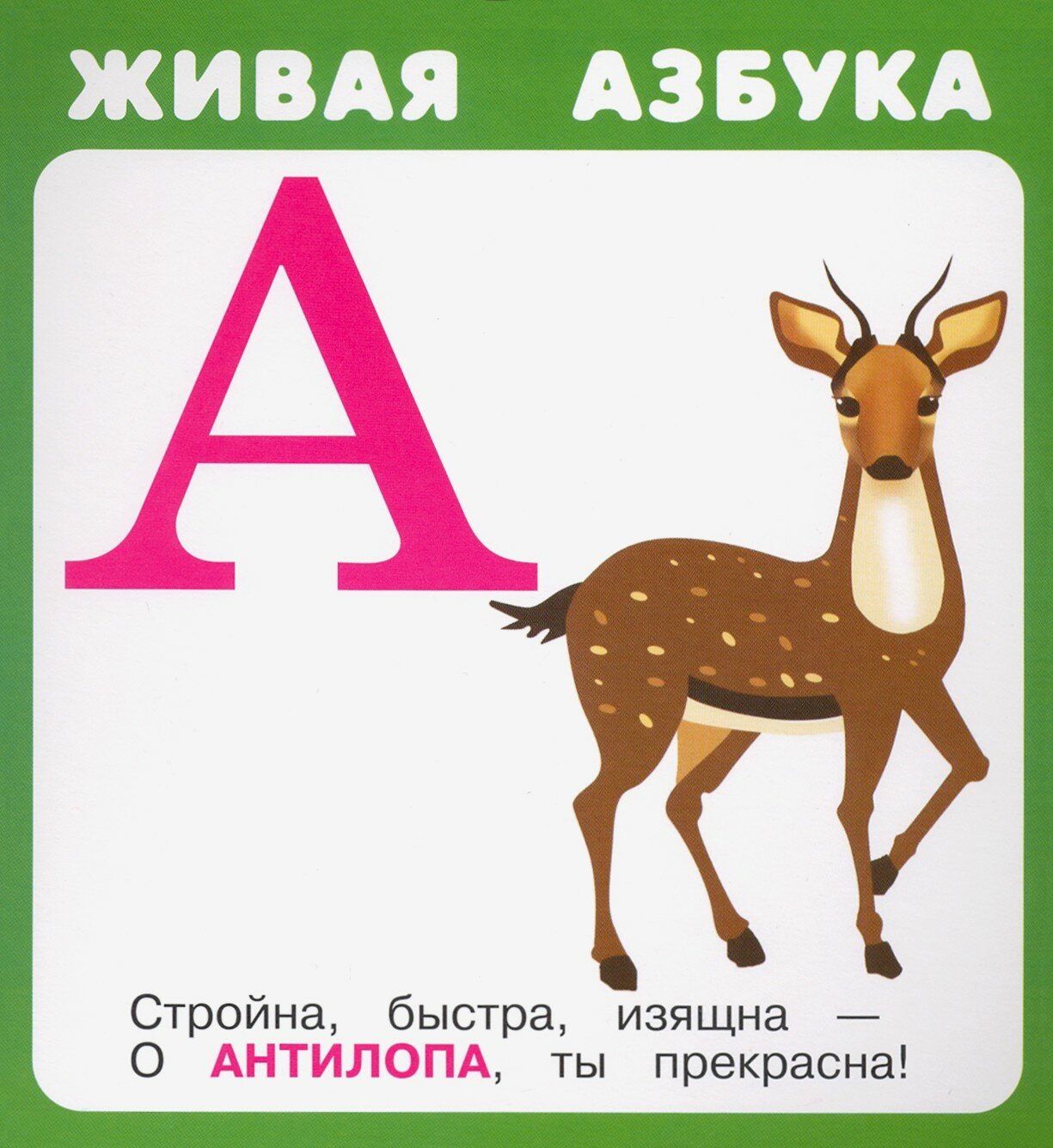 Живая азбука (Ратнер В., Саша Черный, Крашенинникова А. И., Кузьмин Е.) - фото №6